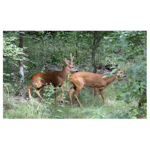 PHOTO84, CLUB, 84 , LUBERON